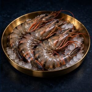 ZEIDAN professional food-service product